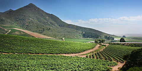 Swartland