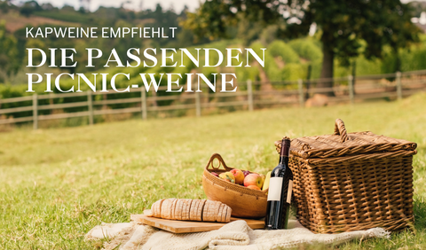 Genussmomente unter freiem Himmel – Picnic Weine aus Südafrika