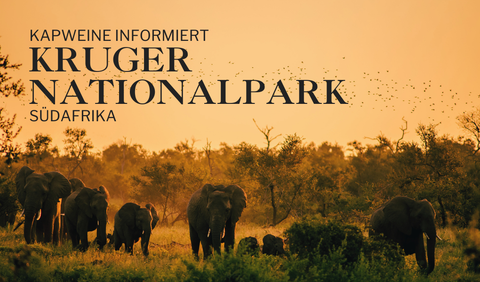 Kruger National Park: 100 Jahre Wildnis mit Weitblick