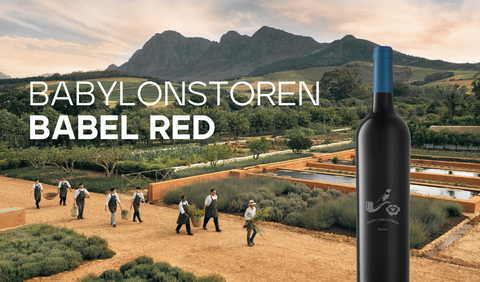 Babylonstoren – Wo Wein, Garten und Geschichte verschmelzen