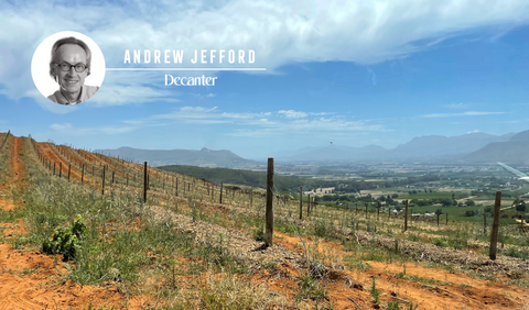 Anred Jefford Decanter