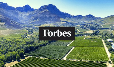 Fobes Milliardär kauft Südafrika Weingut