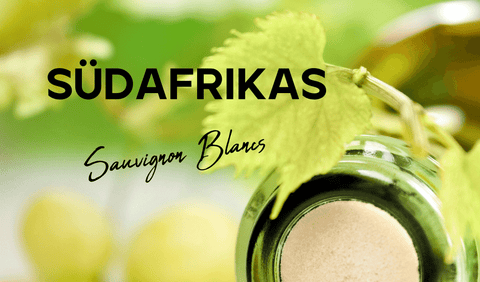 Südafrika Sauvignon Blanc