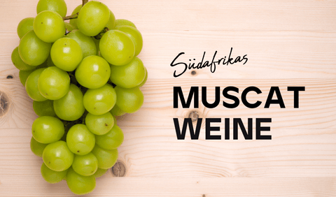 Südafrikas Muscat Weine