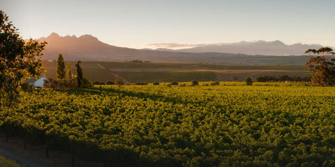 Cederberg