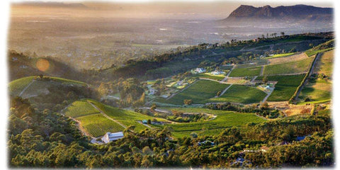 Constantia