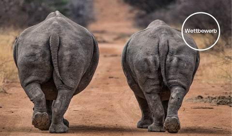 friends-of-african-wildlife