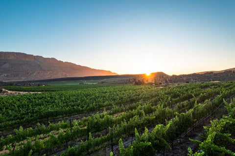 Weinregionen