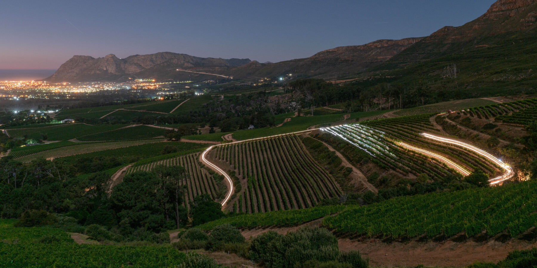 Ataraxia Wine Farm