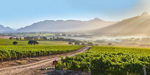 featured-winery-le-riche-2 (1)