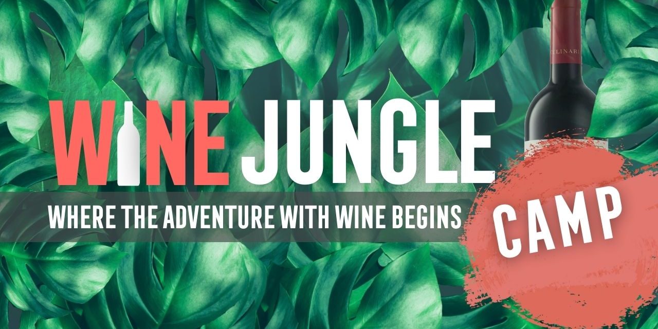 Wine Jungle Camp