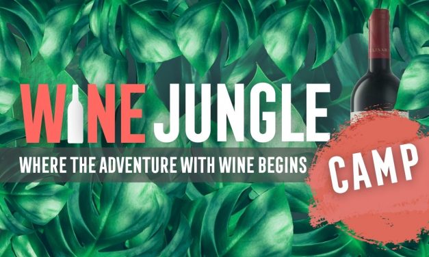 Ten renowned wines lead us to our camp and World's Best for your favourites. These are our wine stars in the jungle camp.