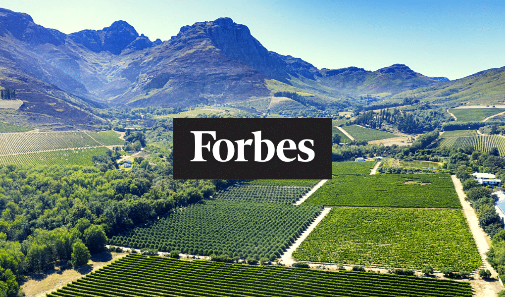 First Black Billionaire Buys Winery in Stellenbosch