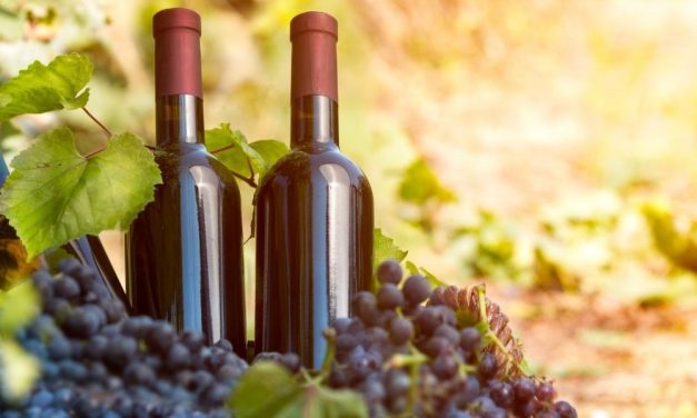 Fact #41 - Wann begann das Old Vine Projekt in Südafrika?