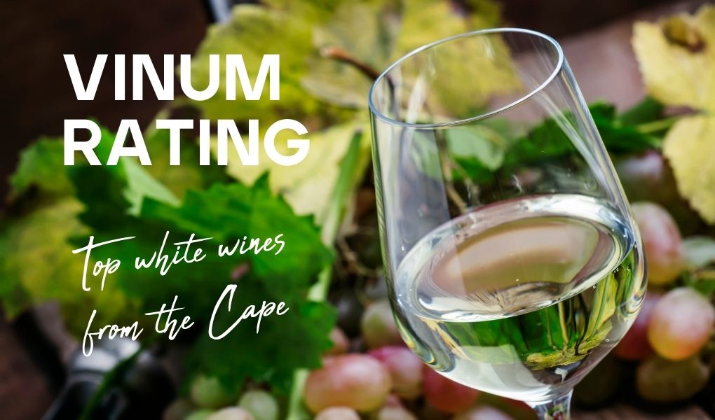 Top white wines from the Cape – Vinum Rating