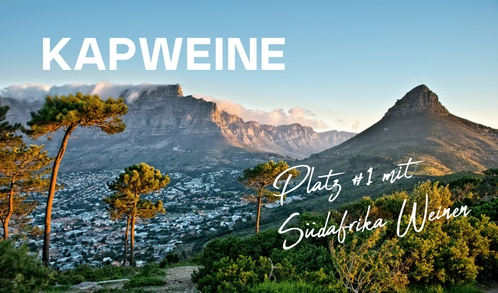 KapWeine auf Platz #1 mit Südafrika-Weinen & Platz #54 unter den grössten Schweizer Weinhändlern