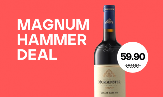 CHF 59.90 instead of 89.00 Magnum Hammer Deal