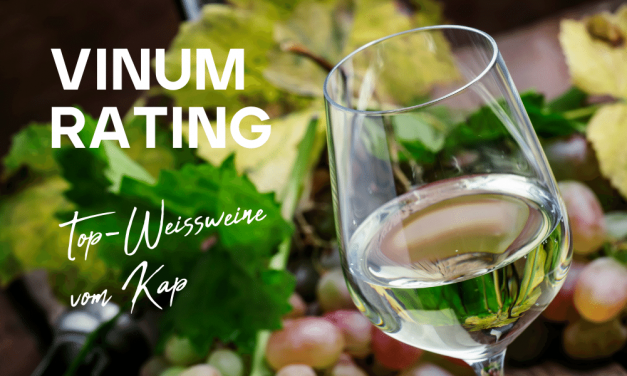 Über 100 Weissweine aus Südafrika wurden dem VINUM Magazin zur Verkostung zur Verfügung gestellt. Entdecke die Top-Weissweine von KapWeine.