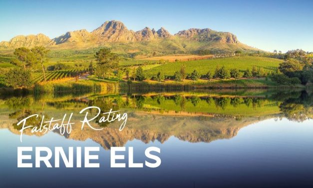 Die Zeitschrift Falstaff stellt drei Weine von Ernie Els vor, die Sie degustieren sollten. Die besten südafrikanischen Weine
