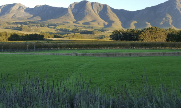 New wines from Jean Smit. Discover what lies behind a bottle of Moya's Vineyards: Wines with character and tradition