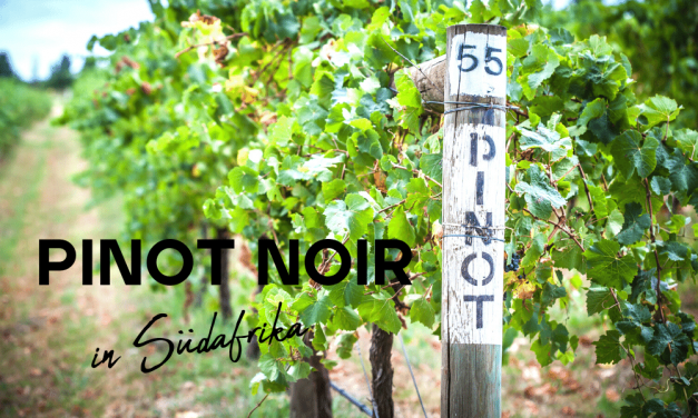 What influence does Switzerland have on South African Pinot Noir? Here are the clues to learn more about this wine variety.