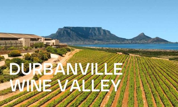Entdecken Sie das Durbanville Wine Valley 20 Minuten von Kapstadt entfernt: Wine, Kultur, Aktivitäten...