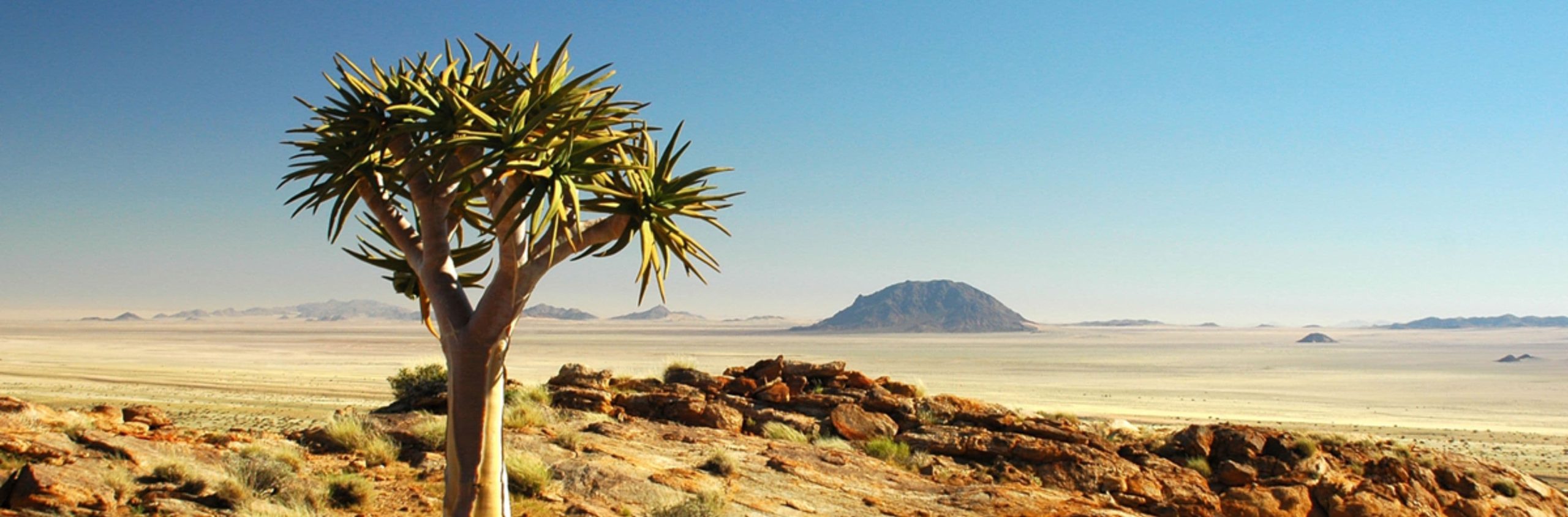 Karoo - semi-desert landscape