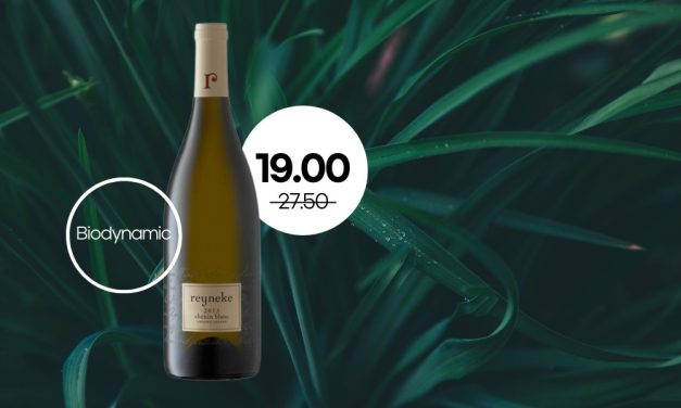 CHF 19.00 instead of 27.50 Top Sale / 94 Points by Tim Atkin / Discover the biodynamic Top Chenin Blanc from Reyneke.