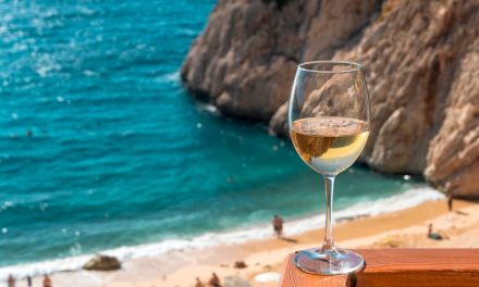 Sauvignon Blanc — A summer in a glass