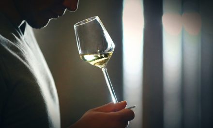 Der Weg zum Weinkritiker