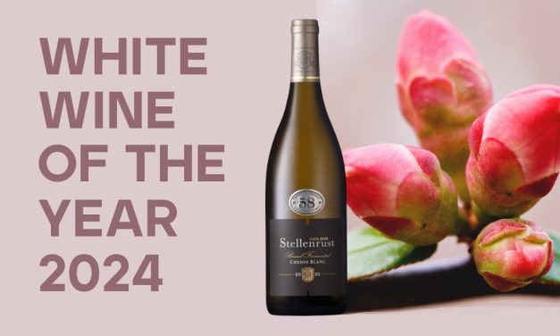 KapWeine kürt Stellenrust 58 Chenin Blanc 2022 zum White Wine of the Year 2024. Entdecken Sie unsere Stellenrust Wine of the Year Promo.