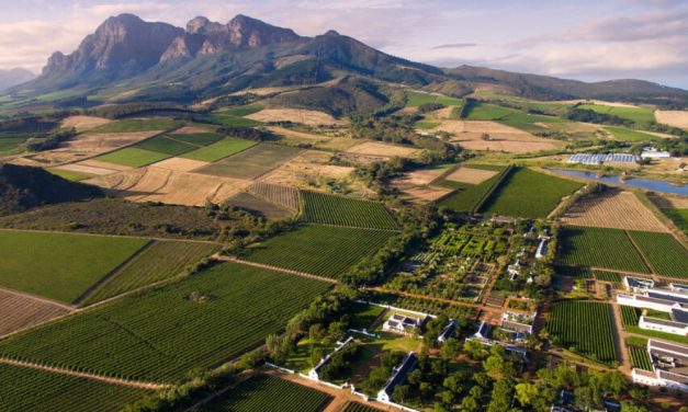 Erfahren Sie im dritten Teil von Karins Bericht über ihre Erlebnisse und einzigartige Begegnungen auf ihrer Südafrika-Weinsafari.