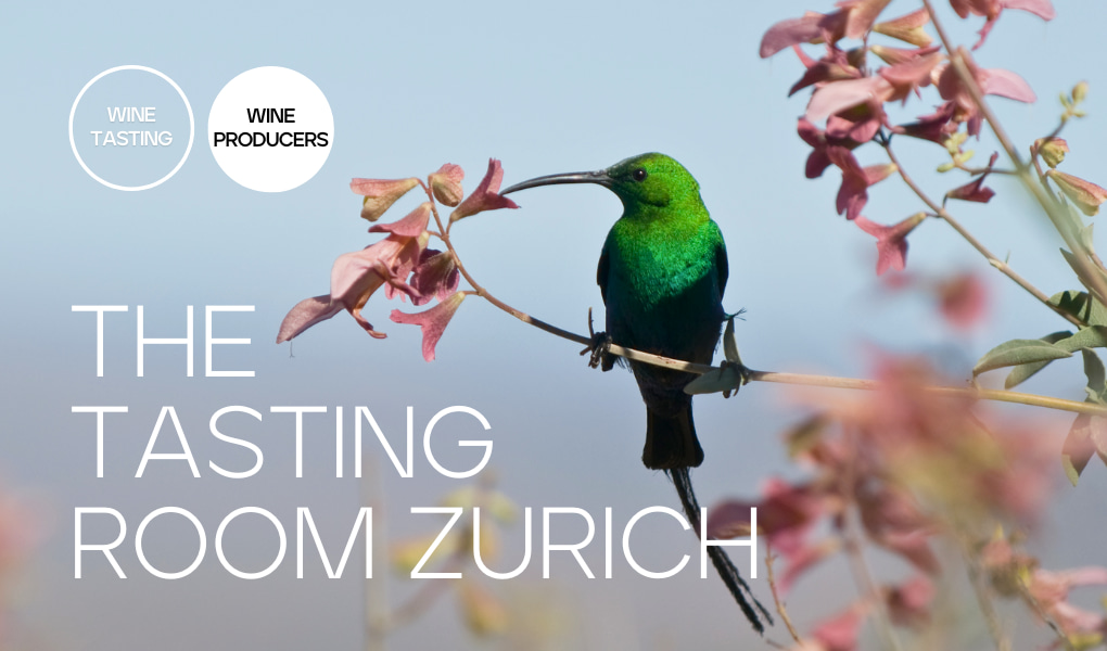 South Africa Wine Tasting in Zurich