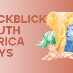 Rückblick South Africa Days 2024