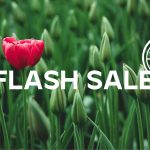 Hello Spring Flash Sale