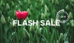 Hello Spring Flash Sale