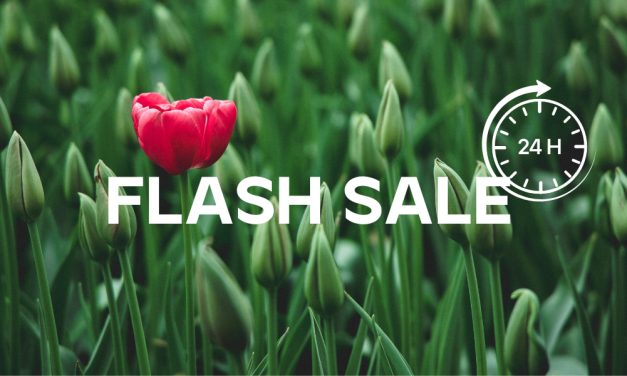 Hello Spring Flash Sale