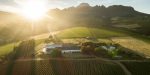 Weingut Alto Estate
