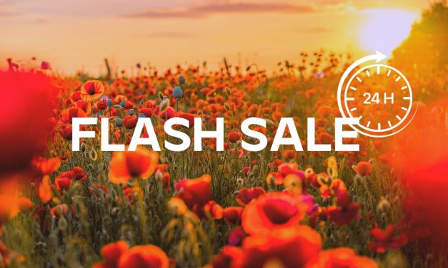 Hot Summer Flash Sale