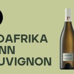 Top Sauvignon Blancs aus Südafrika