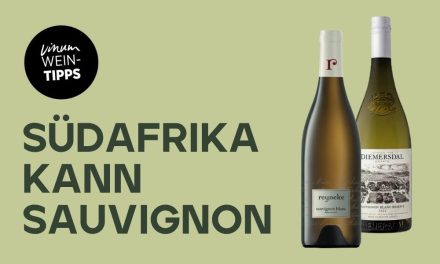 Top Sauvignon Blancs aus Südafrika