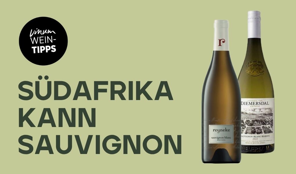 Top Sauvignon Blancs aus Südafrika
