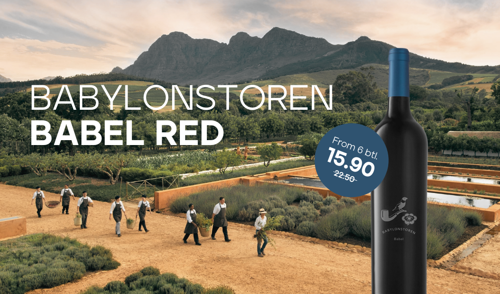 Babylonstoren – Where Wine, Garden, and History Merge