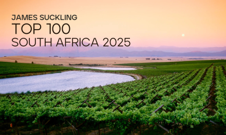James Suckling Top 100 South Africa 2025