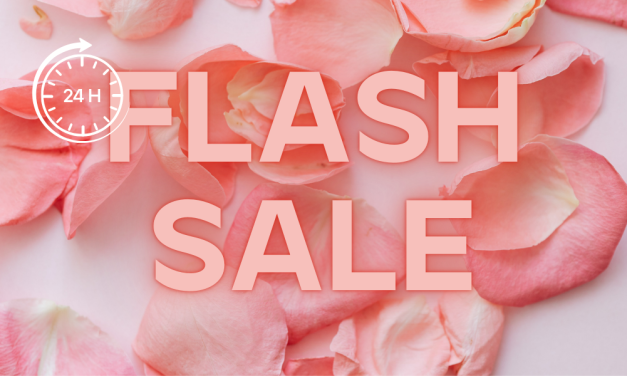 Sonntagsdeal – Flash Sale