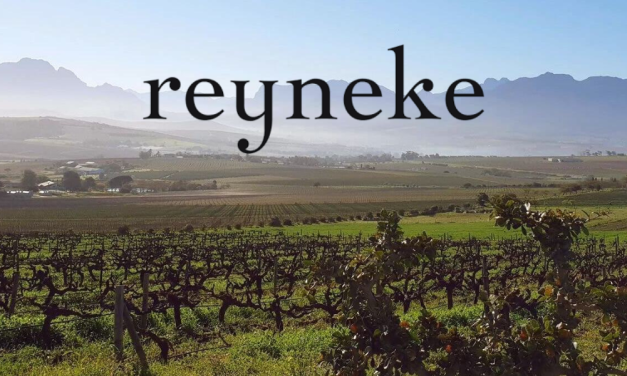 Reyneke Wines: neue Labels und eine klare Vision