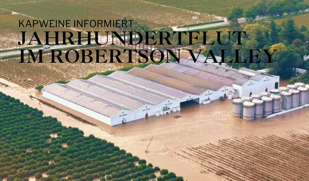 Jahrhundertflut im Robertson Valley – Wenn Naturgewalten eine Weinregion treffen