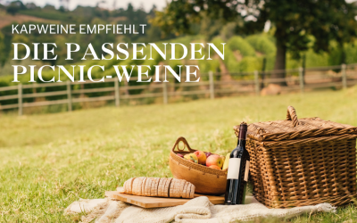 Moments of enjoyment in the open air – picnic wines from South Africa